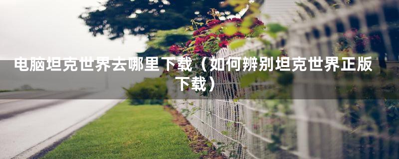 电脑坦克世界去哪里下载(如何辨别坦克世界正版下载)