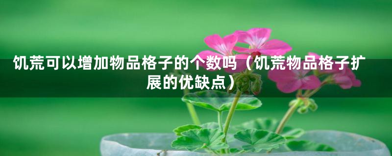 饥荒可以增加物品格子的个数吗(饥荒物品格子扩展的优缺点)