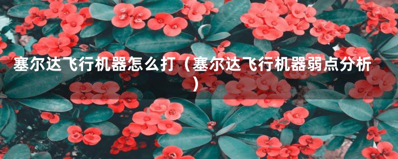 塞尔达飞行机器怎么打(塞尔达飞行机器弱点分析)