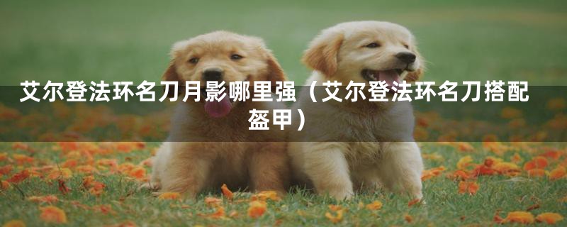 艾尔登法环名刀月影哪里强(艾尔登法环名刀搭配盔甲)