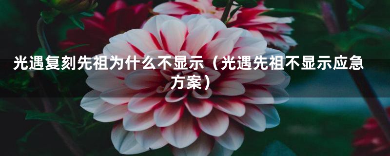 光遇复刻先祖为什么不显示(光遇先祖不显示应急方案)