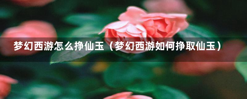 梦幻西游怎么挣仙玉(梦幻西游如何挣取仙玉)