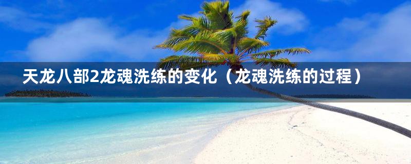 天龙八部2龙魂洗练的变化(龙魂洗练的过程)