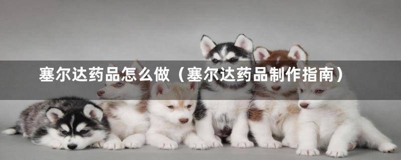 塞尔达药品怎么做(塞尔达药品制作指南)