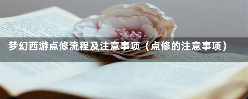 梦幻西游点修流程及注意事项(点修的注意事项)