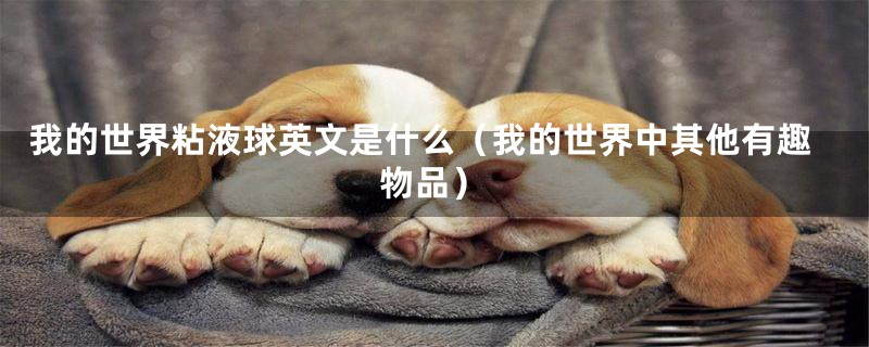 我的世界粘液球英文是什么(我的世界中其他有趣物品)