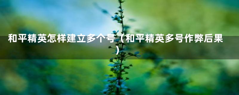和平精英怎样建立多个号(和平精英多号作弊后果)