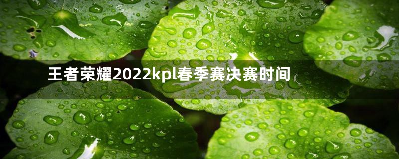 王者荣耀2022kpl春季赛决赛时间