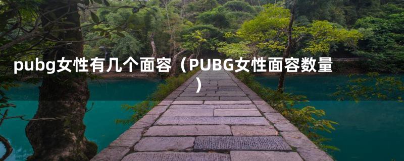 pubg女性有几个面容(PUBG女性面容数量)