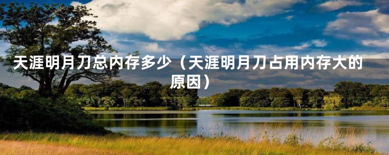 天涯明月刀总内存多少（天涯明月刀占用内存大的原因）