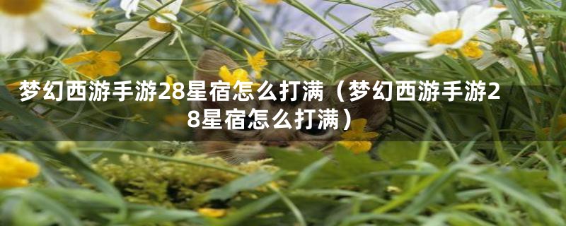梦幻西游手游28星宿怎么打满(梦幻西游手游28星宿怎么打满)