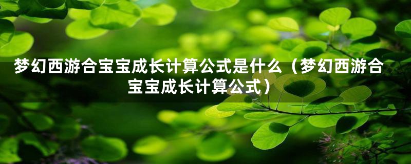 梦幻西游合宝宝成长计算公式是什么（梦幻西游合宝宝成长计算公式）