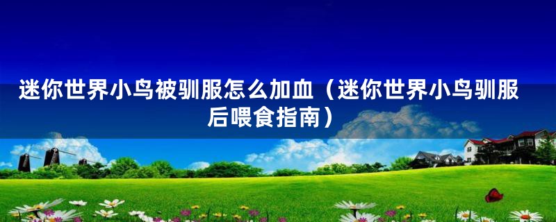 迷你世界小鸟被驯服怎么加血(迷你世界小鸟驯服后喂食指南)