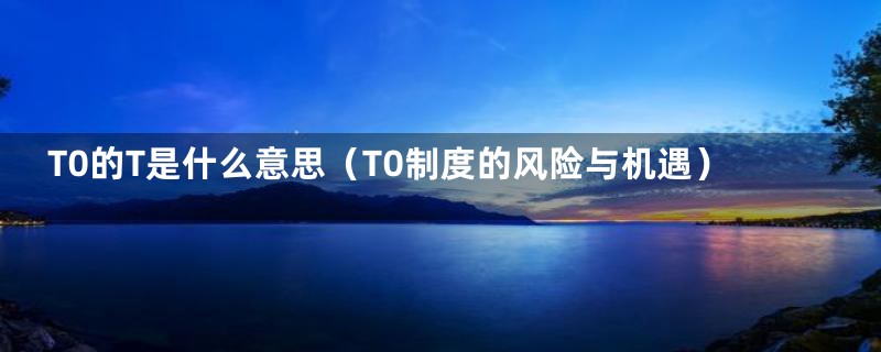 T0的T是什么意思(T0制度的风险与机遇)