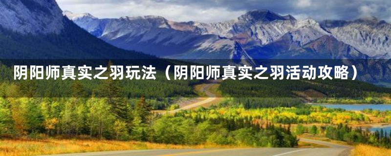 阴阳师真实之羽玩法（阴阳师真实之羽活动攻略）