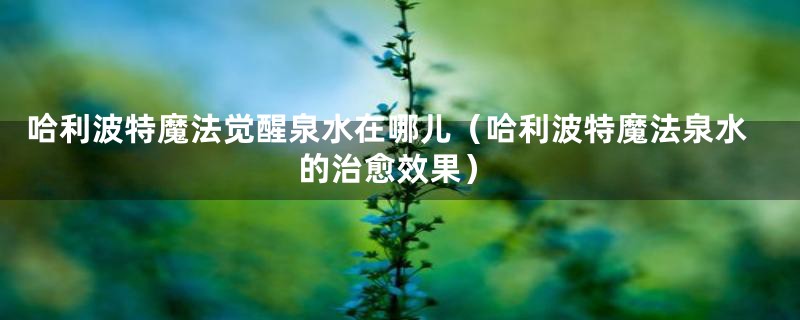 哈利波特魔法觉醒泉水在哪儿(哈利波特魔法泉水的治愈效果)