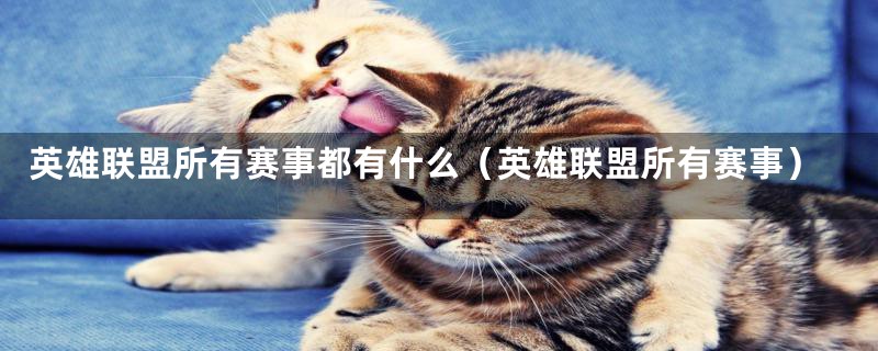 英雄联盟所有赛事都有什么(英雄联盟所有赛事)