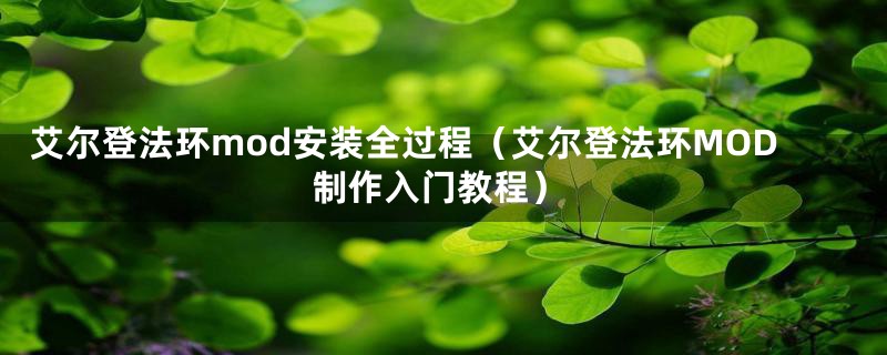 艾尔登法环mod安装全过程(艾尔登法环MOD制作入门教程)