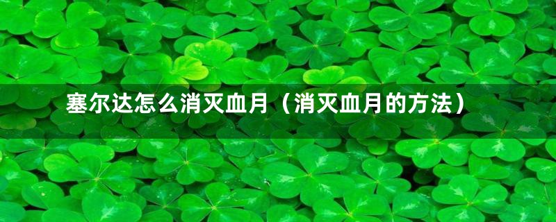 塞尔达怎么消灭血月(消灭血月的方法)
