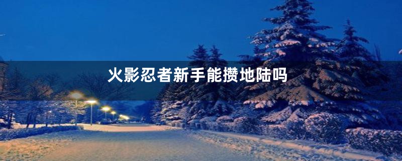 火影忍者新手能攒地陆吗