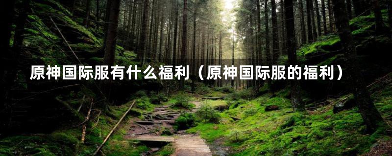 原神国际服有什么福利(原神国际服的福利)