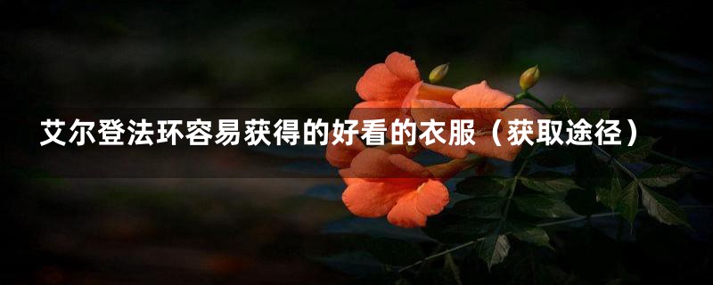 艾尔登法环容易获得的好看的衣服（获取途径）