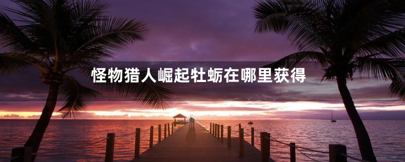 怪物猎人崛起牡蛎在哪里获得