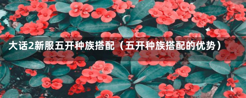 大话2新服五开种族搭配(五开种族搭配的优势)