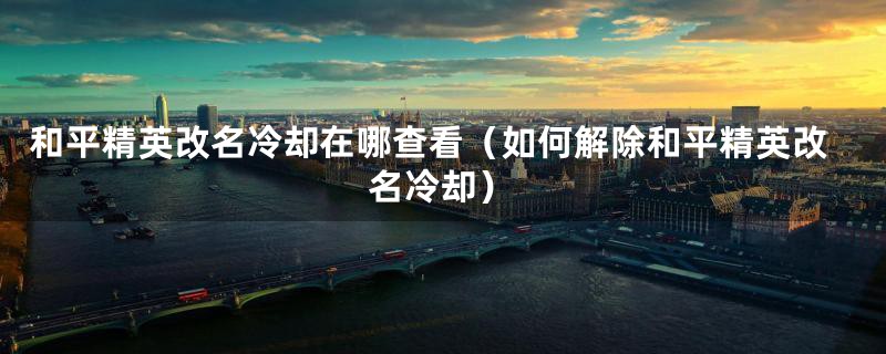 和平精英改名冷却在哪查看(如何解除和平精英改名冷却)