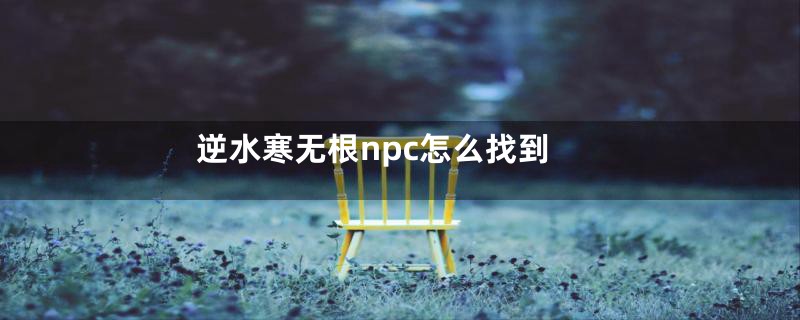 逆水寒无根npc怎么找到
