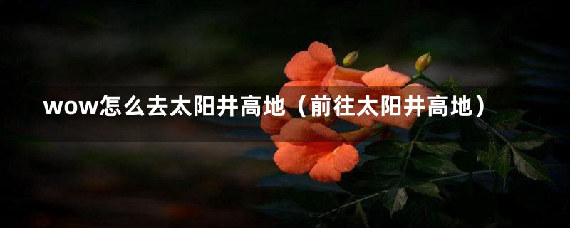 wow怎么去太阳井高地(前往太阳井高地)