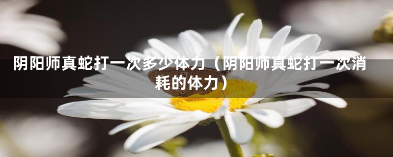 阴阳师真蛇打一次多少体力(阴阳师真蛇打一次消耗的体力)