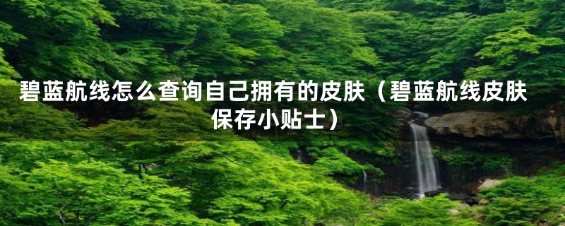 碧蓝航线怎么查询自己拥有的皮肤(碧蓝航线皮肤保存小贴士)