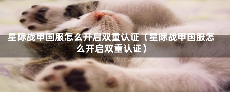 星际战甲国服怎么开启双重认证（星际战甲国服怎么开启双重认证）