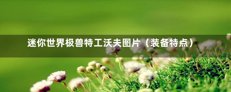 迷你世界极兽特工沃夫图片（装备特点）