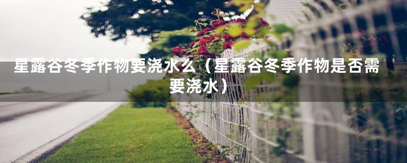 星露谷冬季作物要浇水么(星露谷冬季作物是否需要浇水)