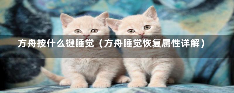 方舟按什么键睡觉(方舟睡觉恢复属性详解)