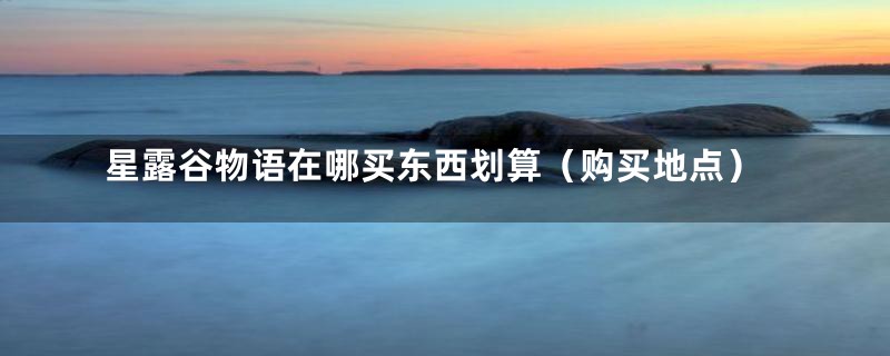 星露谷物语在哪买东西划算(购买地点)