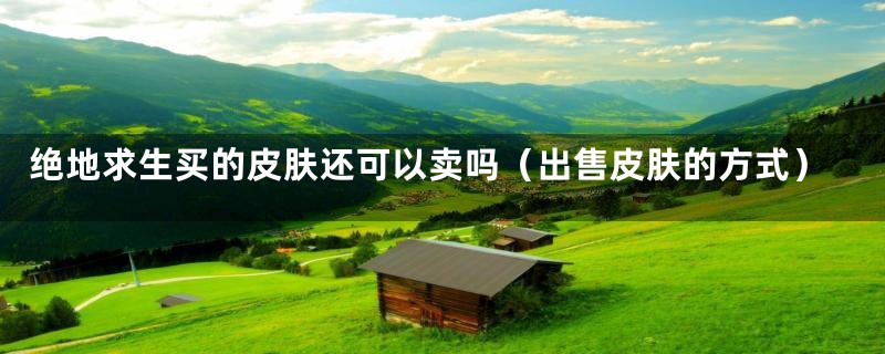 绝地求生买的皮肤还可以卖吗(出售皮肤的方式)