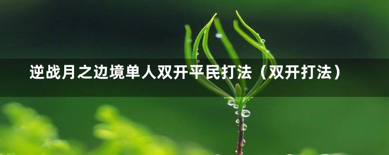 逆战月之边境单人双开平民打法(双开打法)