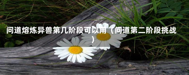 问道熔炼异兽第几阶段可以用(问道第二阶段挑战)