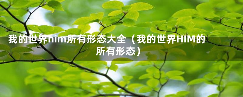 我的世界him所有形态大全（我的世界HIM的所有形态）