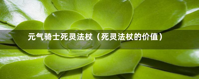 元气骑士死灵法杖(死灵法杖的价值)