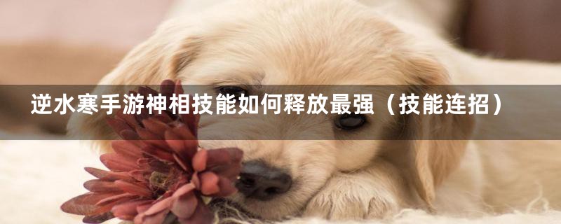 逆水寒手游神相技能如何释放最强（技能连招）
