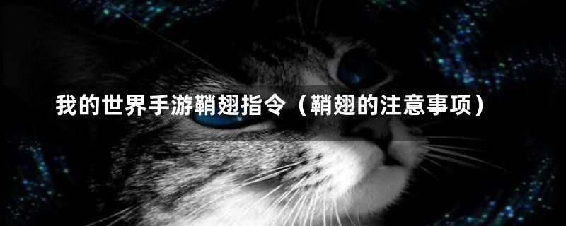 我的世界手游鞘翅指令(鞘翅的注意事项)