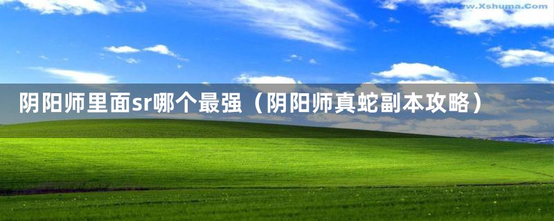 阴阳师里面sr哪个最强（阴阳师真蛇副本攻略）