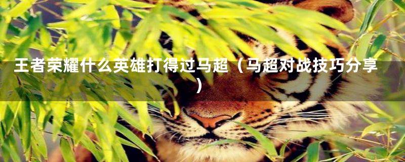 王者荣耀什么英雄打得过马超（马超对战技巧分享）