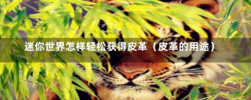 迷你世界怎样轻松获得皮革(皮革的用途)