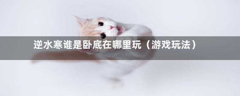 逆水寒谁是卧底在哪里玩（游戏玩法）
