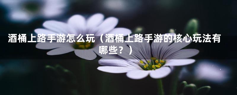 酒桶上路手游怎么玩(酒桶上路手游的核心玩法有哪些?)